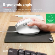 Мышь Trust Bayo 2 Ergonomic, USB-A, біла 25397_TRUST