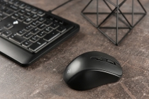 Мышь 2Е MF213 WL Black 2E-MF213WB