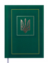 ЕжеДневник недатированный NATION, A5, зеленый Buromax BM.2006-04