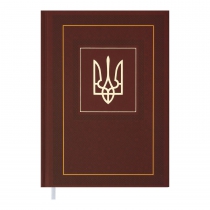 Дневник недатированный NATION, A5, коричневый Buromax BM.2006-25