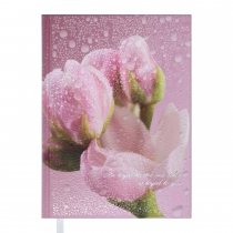 Щоденник недатований POSH, A5, рожевий Buromax BM.2013-10