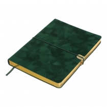 Дневник недатированный VELOUR, A5, зеленый, штуч.кожа, 336 стр. Buromax BM.20770-04