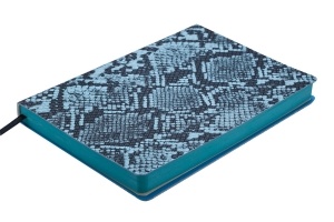 Щоденник датований 2019 WILD soft, A5, 336 арк., блакитний Buromax