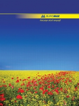 Книга обліку 96 арк/кліт.оф.(тв. лам. обл), А4 Buromax BM.2400