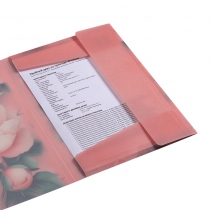 Папка А4 на гумках, PEONY ARABESKI, напівпрозора, рожева Buromax BM.3908-10