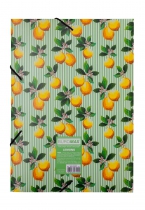 Папка на гумці, A4, LEMONS, ARABESKI, салатова Buromax BM.3958-15
