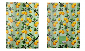 Папка на гумці, A4, LEMONS, ARABESKI, салатова Buromax BM.3958-15