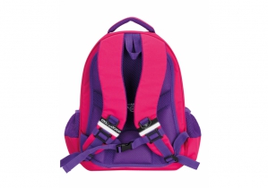 Рюкзак школьный 16", "CFS", 400 COOLFORSCHOOL CF86721