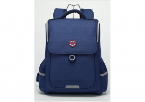 Рюкзак школьный каркасный 15,3" COOLFORSCHOOL DchB-3172