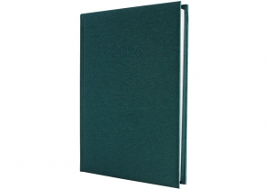 Щоденник датований, ТЕКСТИЛЬ, зелений, А5 ECONOMIX E21634-04