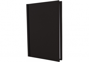 Ежедневник недатированный SATIN, А5, черный ECONOMIX E22032-01