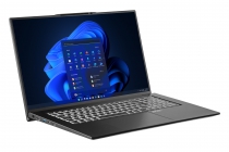 Ноутбук 2E Complex Pro 17 17.3" FHD IPS AG, Intel i5-1240P, 16GB, F512GB, UMA, Win11P, чорний NS70PU-17UA35