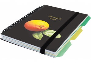 Блокнот "DESIGN 21", B6, пластиковая обл., спираль, с разделителями., 100 л., ячейка OPTIMA O20358-21