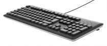 Клавиатура HP USB Black QY776AA