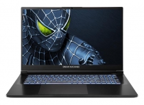 Ноутбук Dream Machines RG5050-17 17.3FHD IPS, Intel i9-14900HX, 16GB, F1TB, NVD5050-8, DOS, чорний RG5050-17UA23