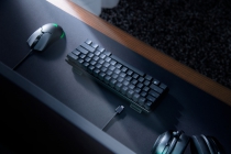 Клавиатура игровая Razer Huntsman Mini Red Switch USB US RGB, Black RZ03-03390200-R3M1