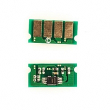 Чип BASF (WWMID-72862) w_WWMID-72862